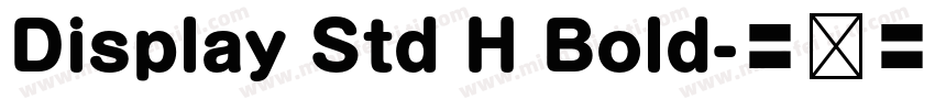 Display Std H Bold字体转换